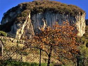 11 Rossi cachi con vista sulla Corna Bianca